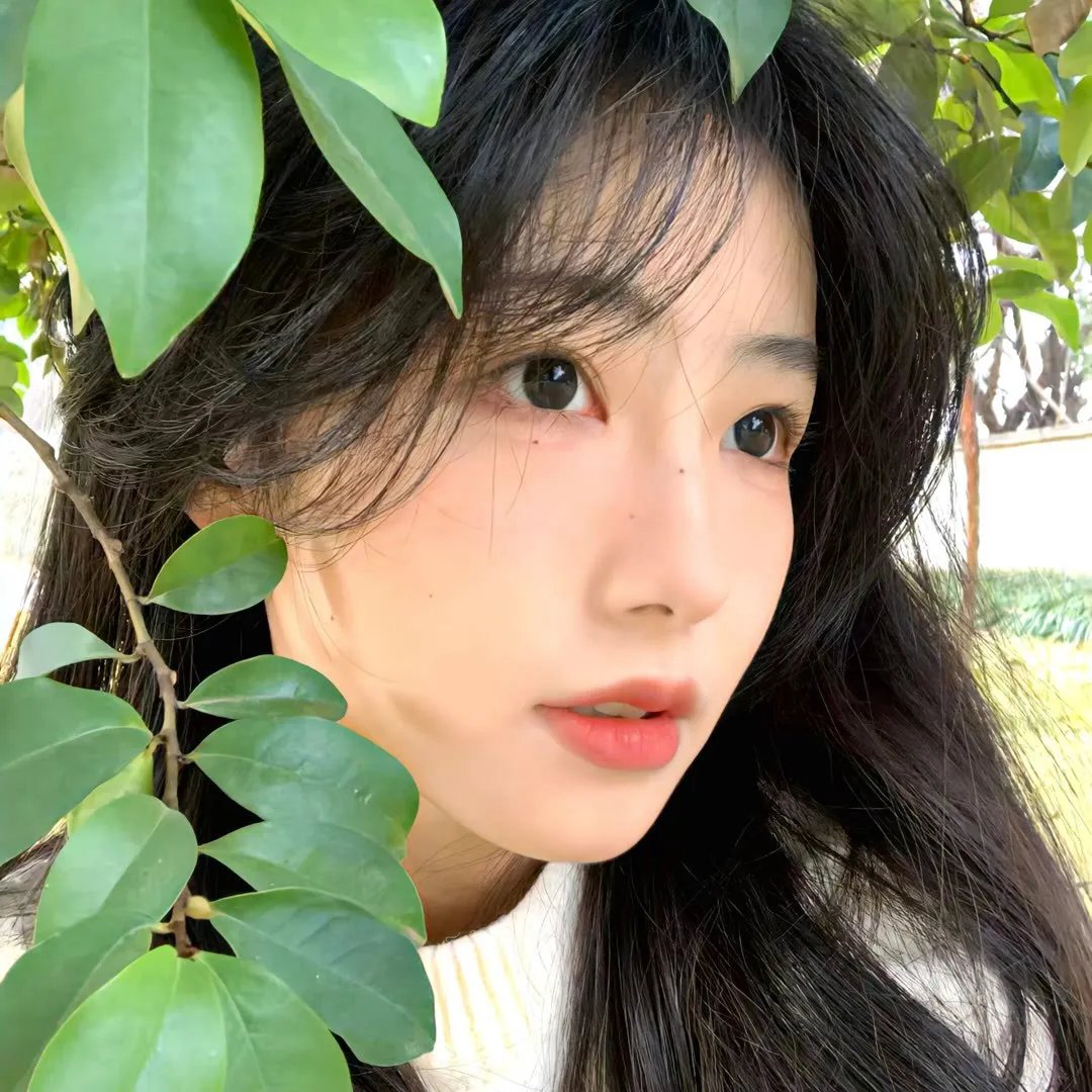 花与树